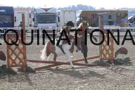 FRM-1003