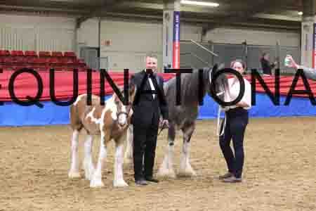 RGG-1097