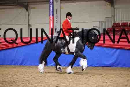 RGG-1486