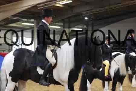 RGG-1806