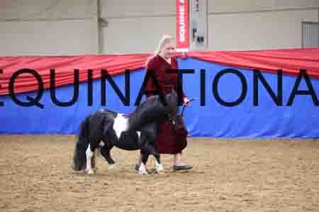 RGG-1897
