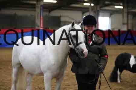 KIM-1183
