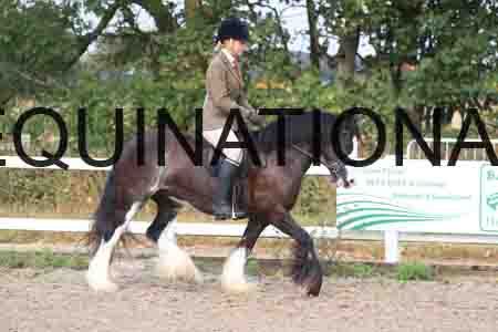 ARK-1060