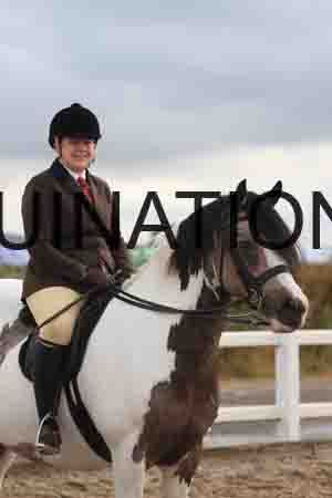 ARK-1243