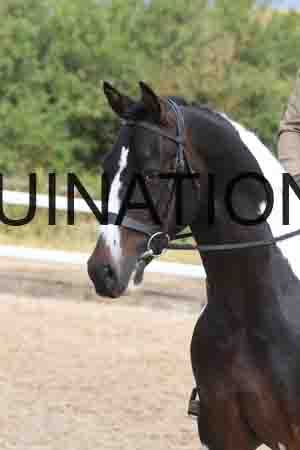 ARK-1442