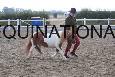 KRB-1698