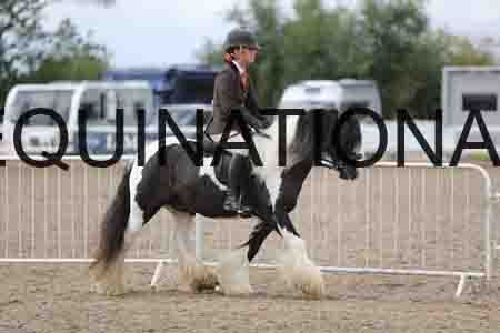 FOY-1739