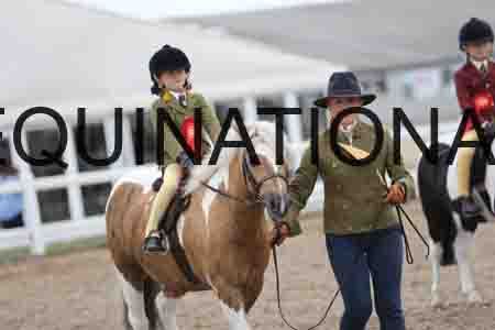 FOY-1901