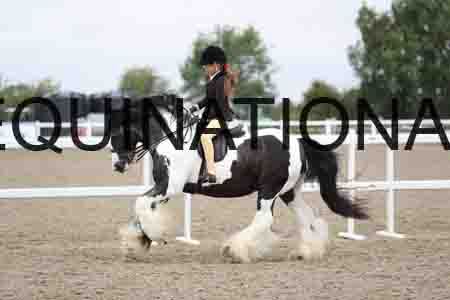 FAS-1072