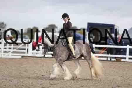FAS-1131