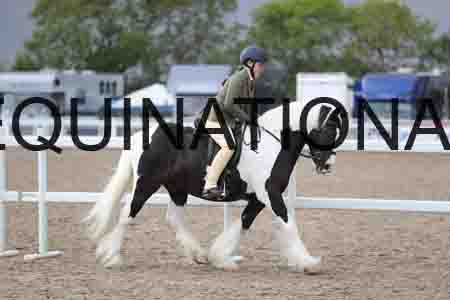 FAS-2374