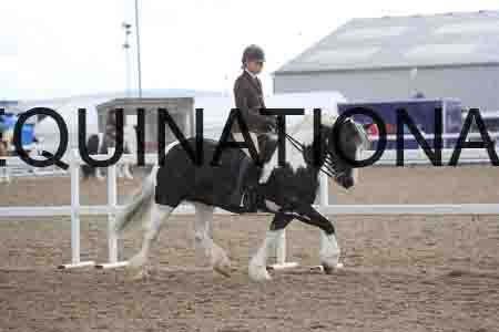 XTR-1366