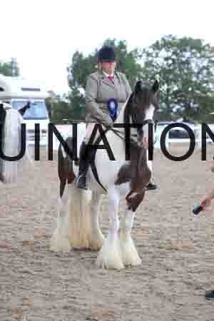 XTR-1684