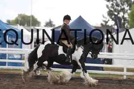 SLO-1103