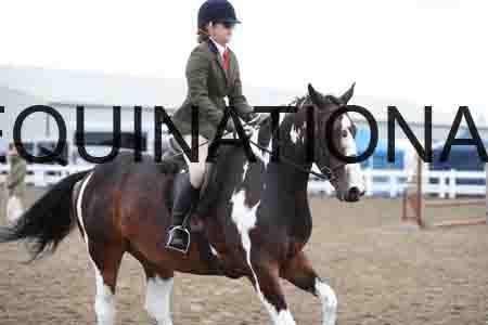 SLO-1353
