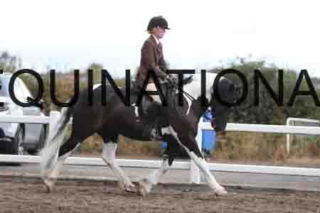 SLO-1428