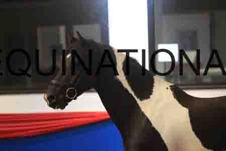 GRG-1209