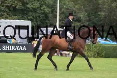 GIN-1162