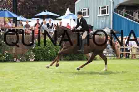 GIN-1213