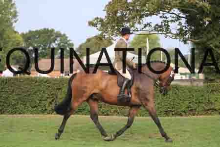 KAW-1034