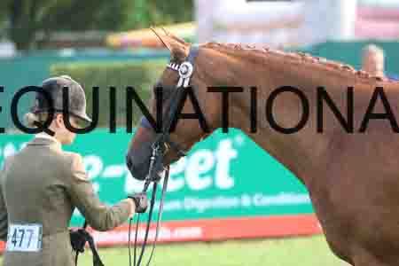 KAW-1375