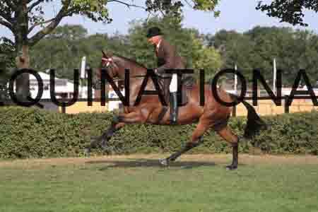 KAW-1740