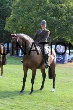 KAW-1775