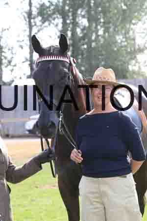 KAW-1826