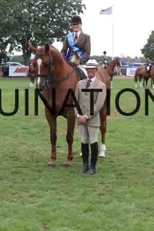 KAW-2804