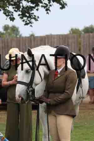 KAW-3251