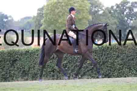 KAW-3399