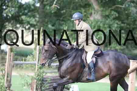 YOG-1355