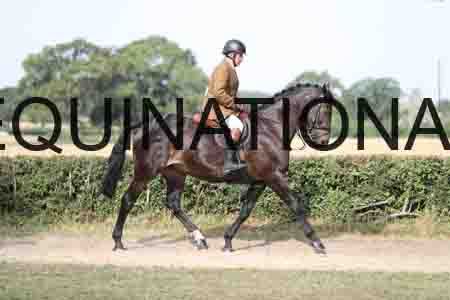 YOG-1497