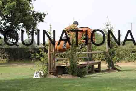 YOG-1886