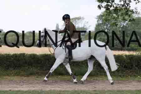 YOG-2509