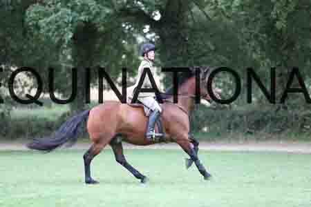 YOG-2918