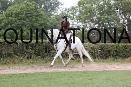 YOG-3325