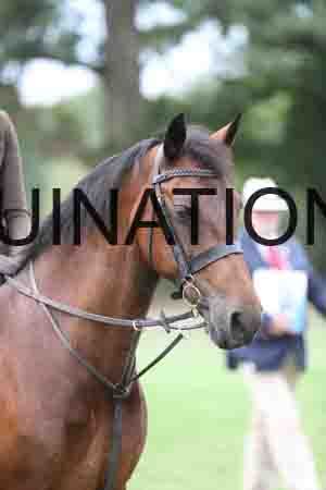YOG-3636