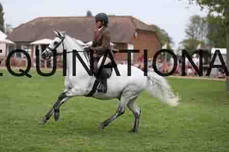 YOG-3914