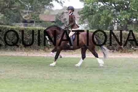 YOG-4027