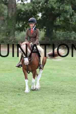 YOG-4263