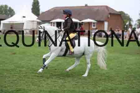YOG-4369