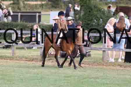 PEL-1071
