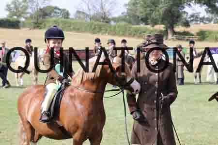 PEL-1690