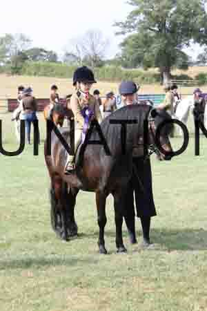 PEL-1695