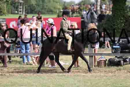PEL-1845
