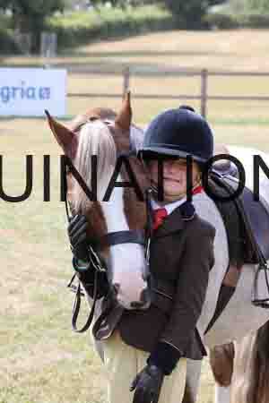 PEL-2000