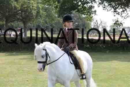 PEL-2310