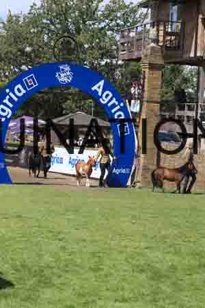 RUA-1030
