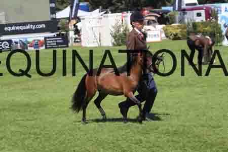 RUA-1077